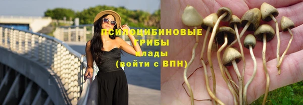 ПСИЛОЦИБИНОВЫЕ ГРИБЫ Лабытнанги